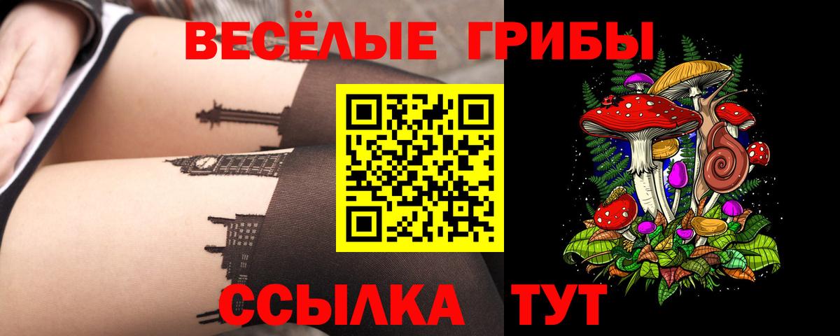 Качканар  Галлюциногенные грибы Psilocybe  Вход с VPN 